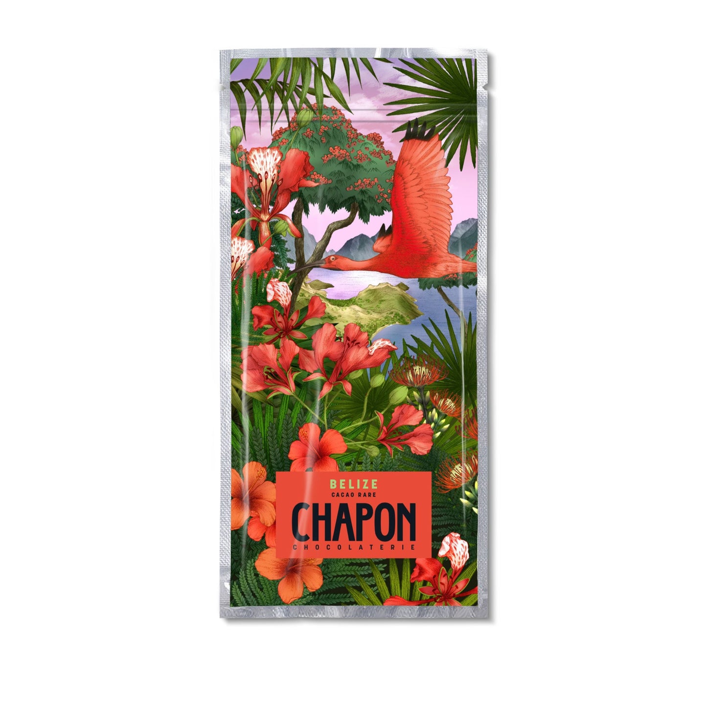 Tablette Noir Belize 73%